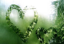 天涯论坛热聊朱元璋和刘伯温的古装剧式历史爆笑