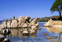 天涯论坛热议天天今天话题